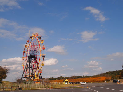 moca1594.jpg