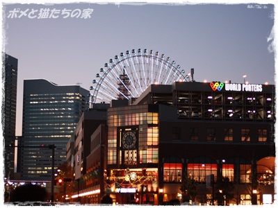 moca1837.jpg