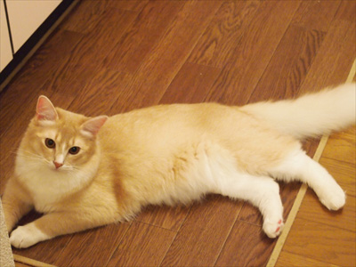yuki0055.jpg