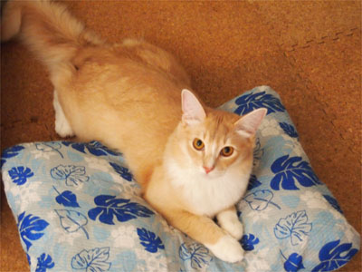 yuki0094.jpg