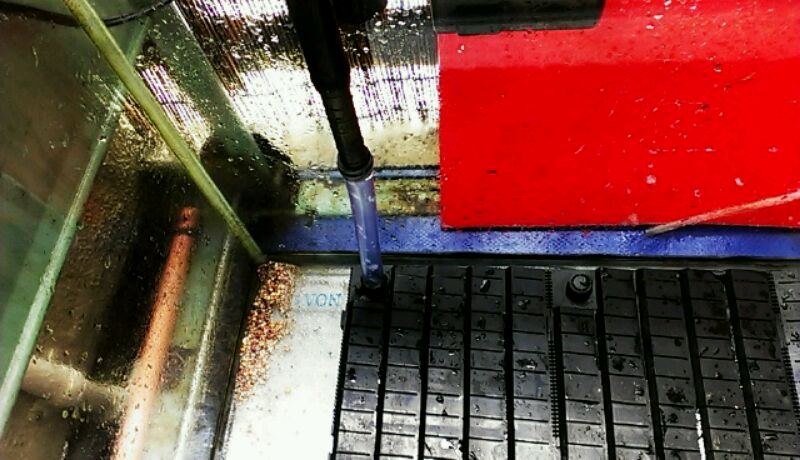 IMAG0050 (2)
