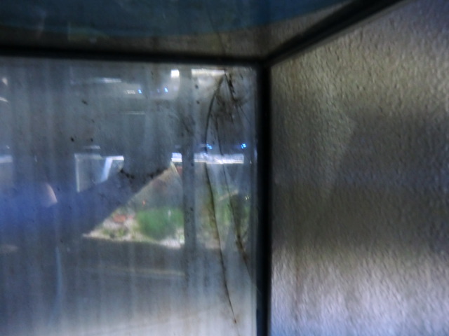 CIMG0264.jpg