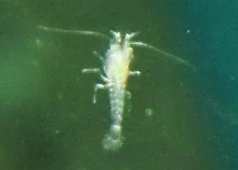 CIMG0293.jpg