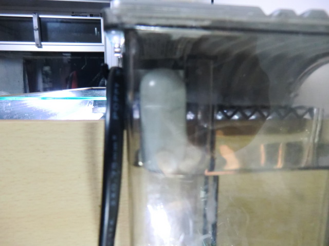 CIMG0320.jpg