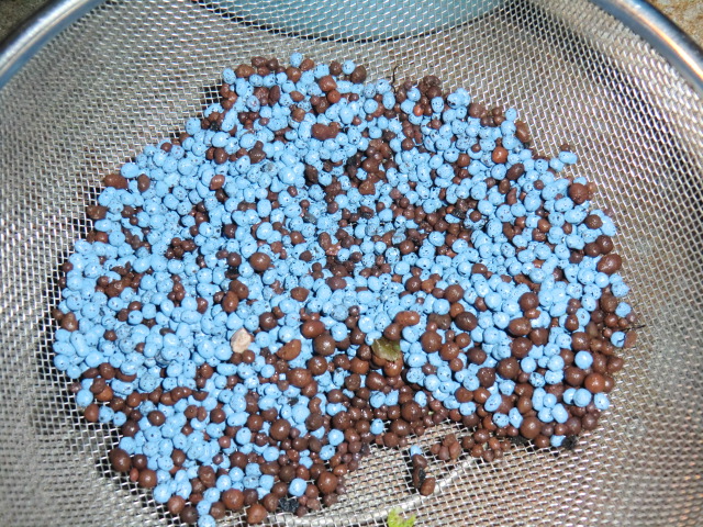 CIMG0397.jpg