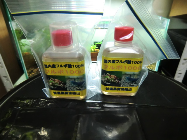 CIMG0440.jpg