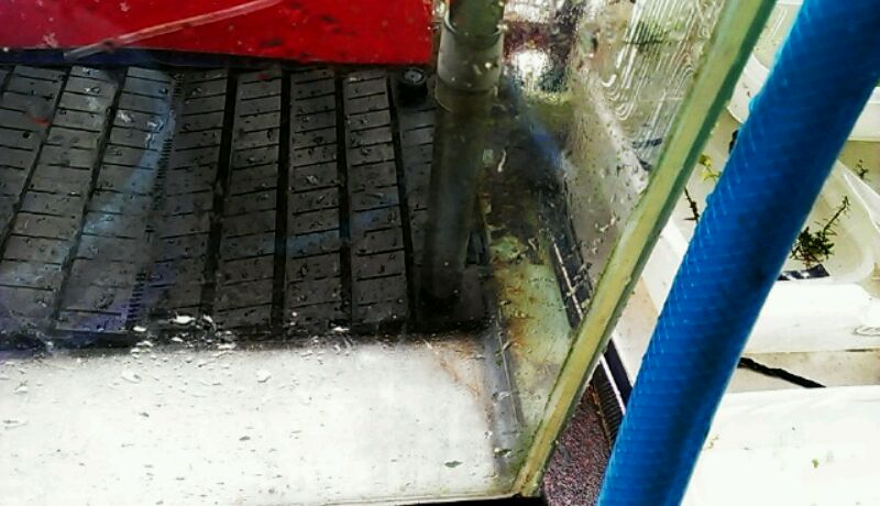 IMAG0052.jpg