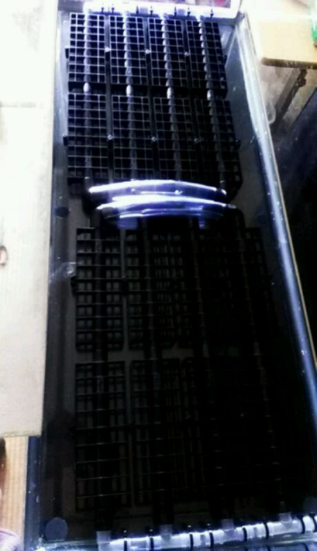 IMAG0087.jpg