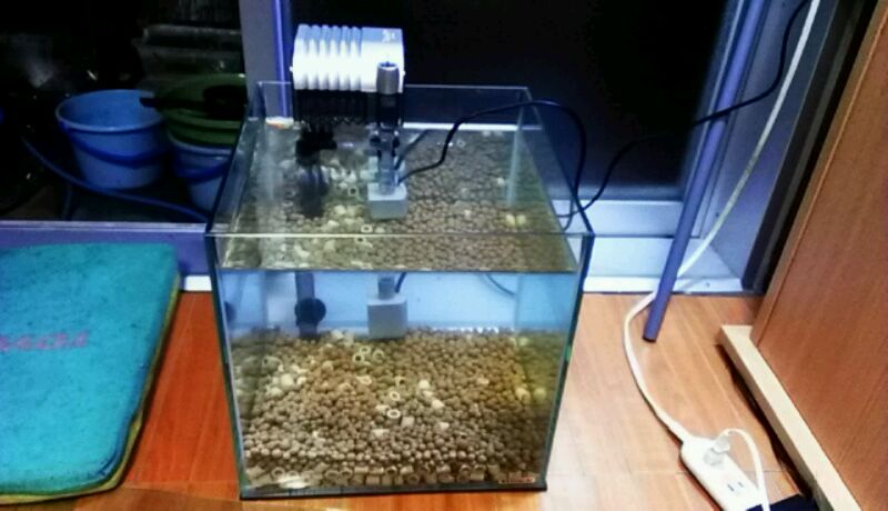 IMAG0099.jpg
