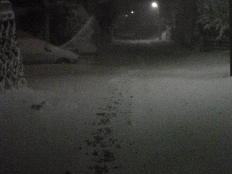 014_20140211214705f9e.jpg