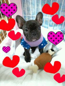 20121201122655.jpeg