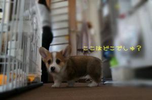 探検♪探検♪1