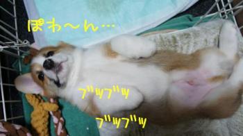 うとうと