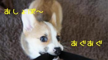 あしょぼ♪