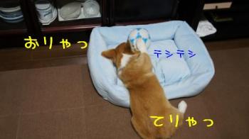 おりゃっ!