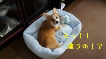 全然違います