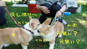 ご挨拶