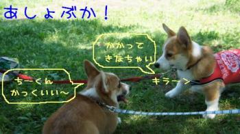 あしょぶかっ!