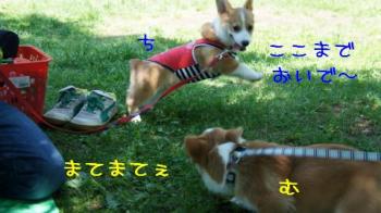 ここまでおいで~