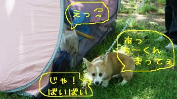 僕ちーくんと遊ぶの。