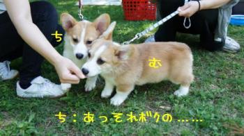 あっそれ僕の・・・