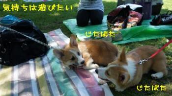 まだまだぁ!