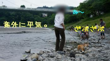 どっかの川