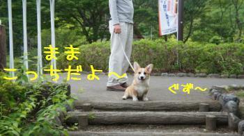 どっかの公園