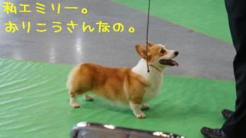 おりこうエミちゃん