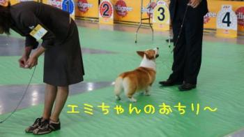 エミちゃんのおちり