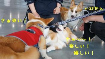 麦大喜び