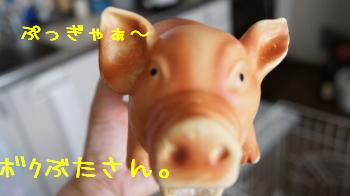 ボクぶたさん