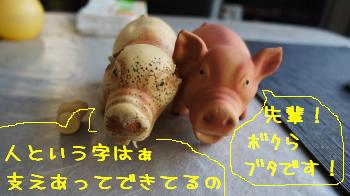 一人じゃ立てないの