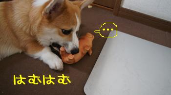 忍耐