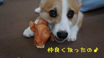 仲良しなの♪