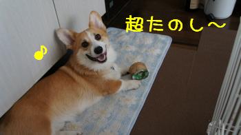ええお顔