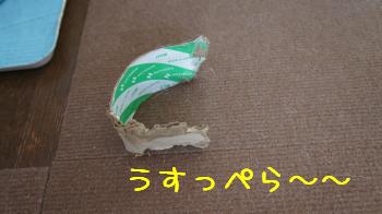 切れっぱし