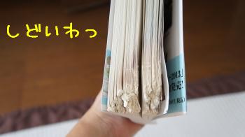 やってくれました