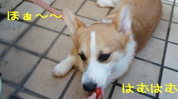 うっとり