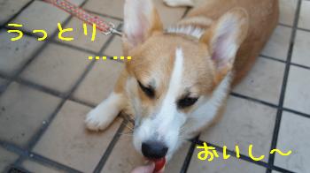 おいし~