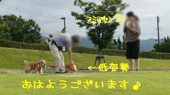 ご挨拶