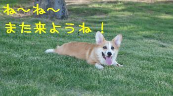 また来たぁい