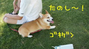 たのしー!!