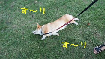 すーりすーり