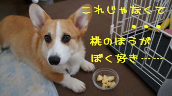 これじゃないの。