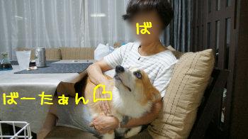 ばーたーん