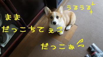 だっこちて♪