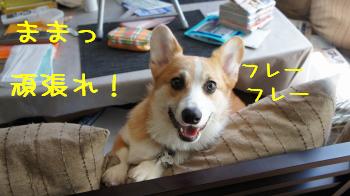 応援してるよ