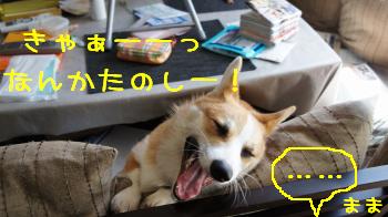たのし~~!