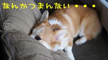 ぼくを無視して・・・